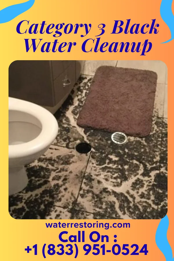 Category 3 Black Water Cleanup in Dill City, OK