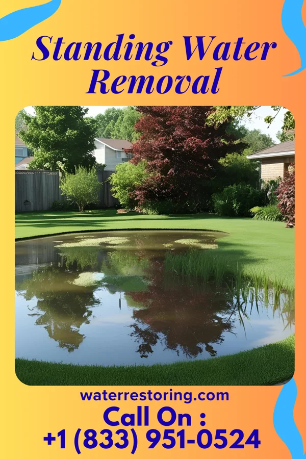 Standing Water Removal in Dill City, OK